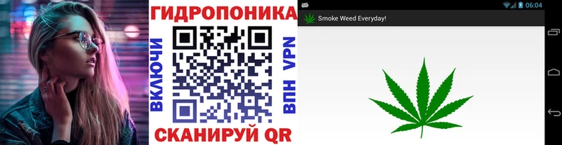 Бошки Шишки OG Kush  Вуктыл 